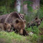 Glückliche Familie