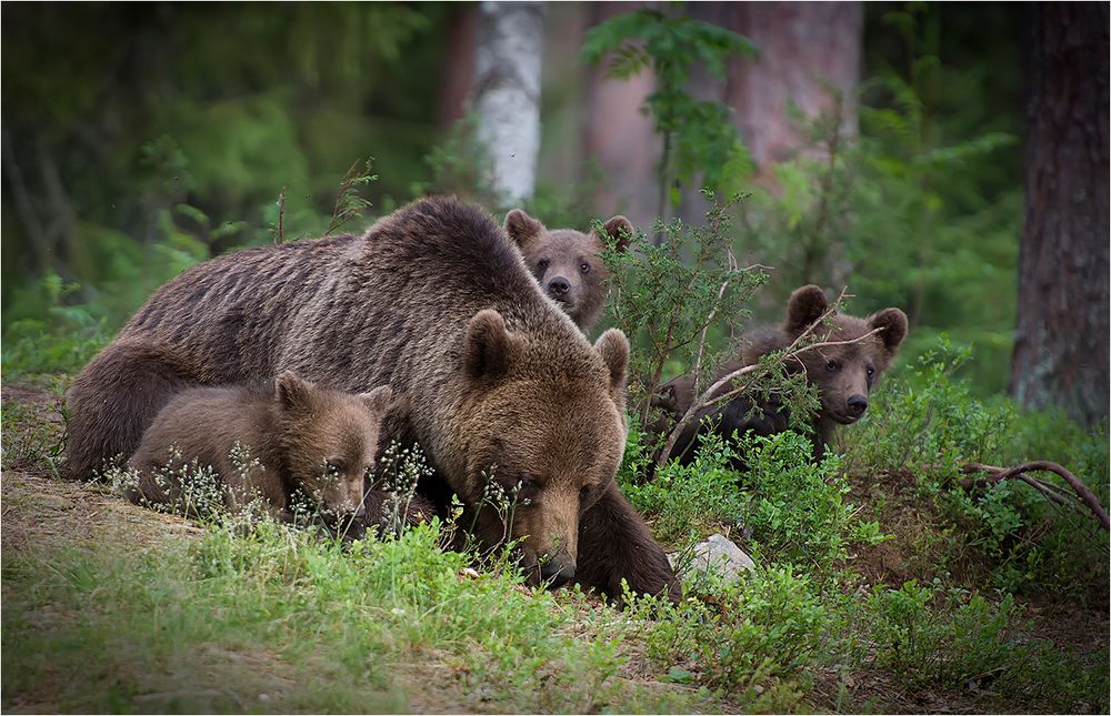 Glückliche Familie