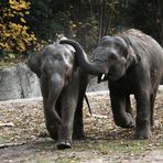 Glückliche Kindertage