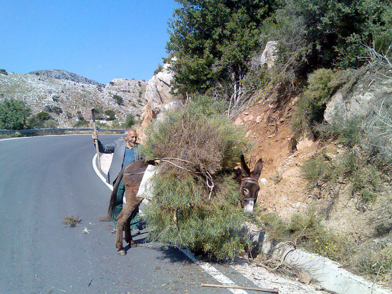 glückliche Menschen auf Kreta