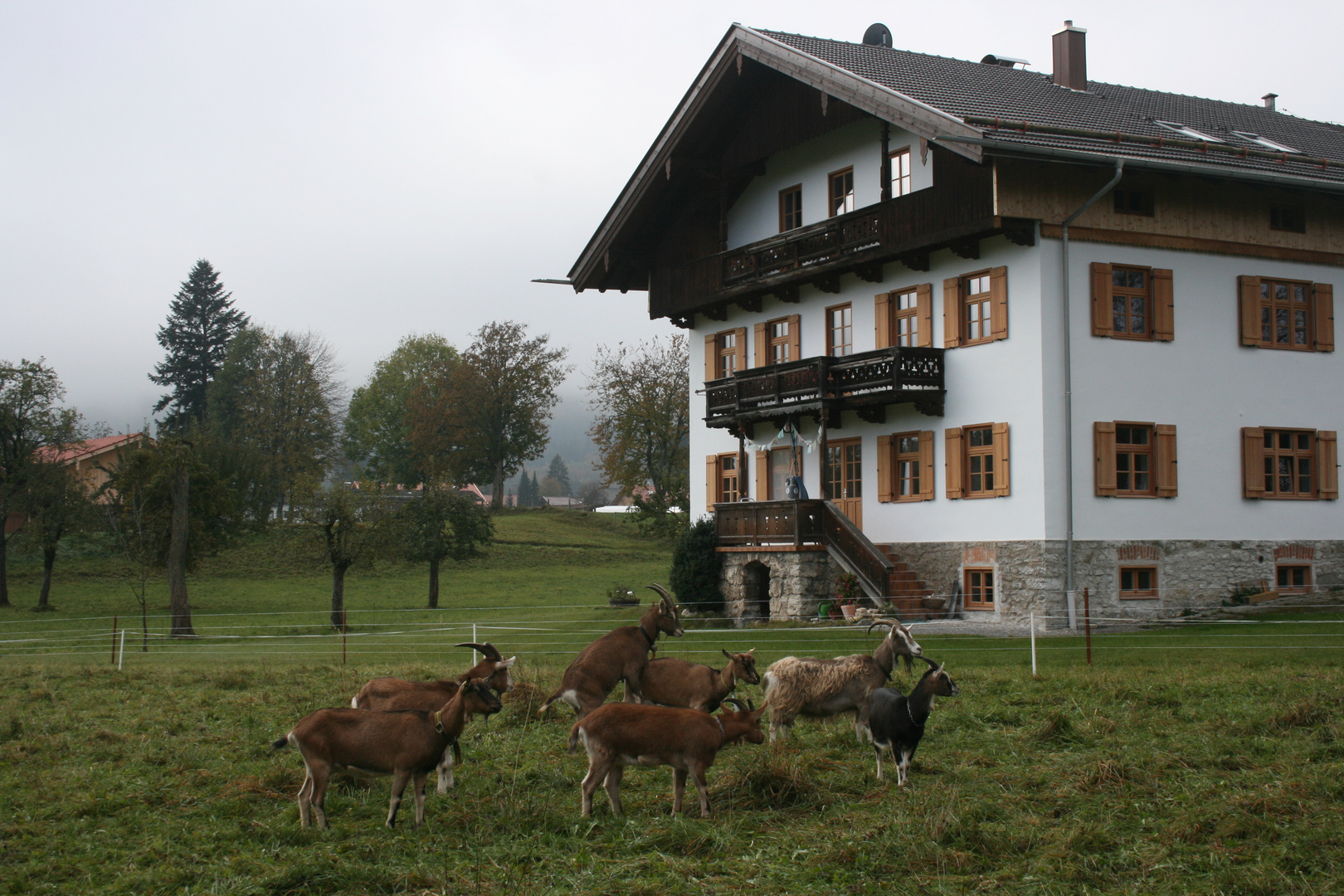 Glückliche Momente