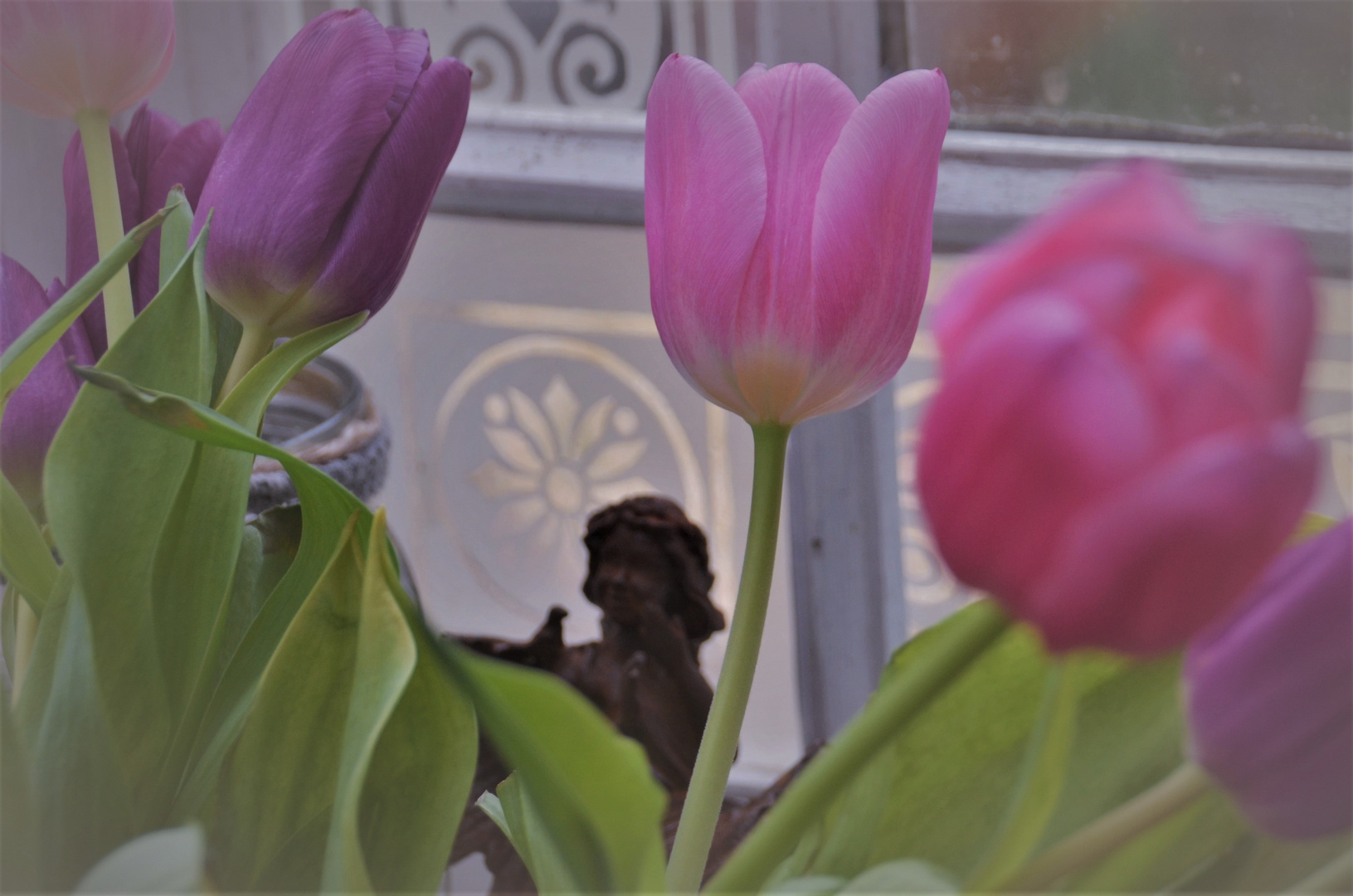 Glücks-Fee und die Tulpen...