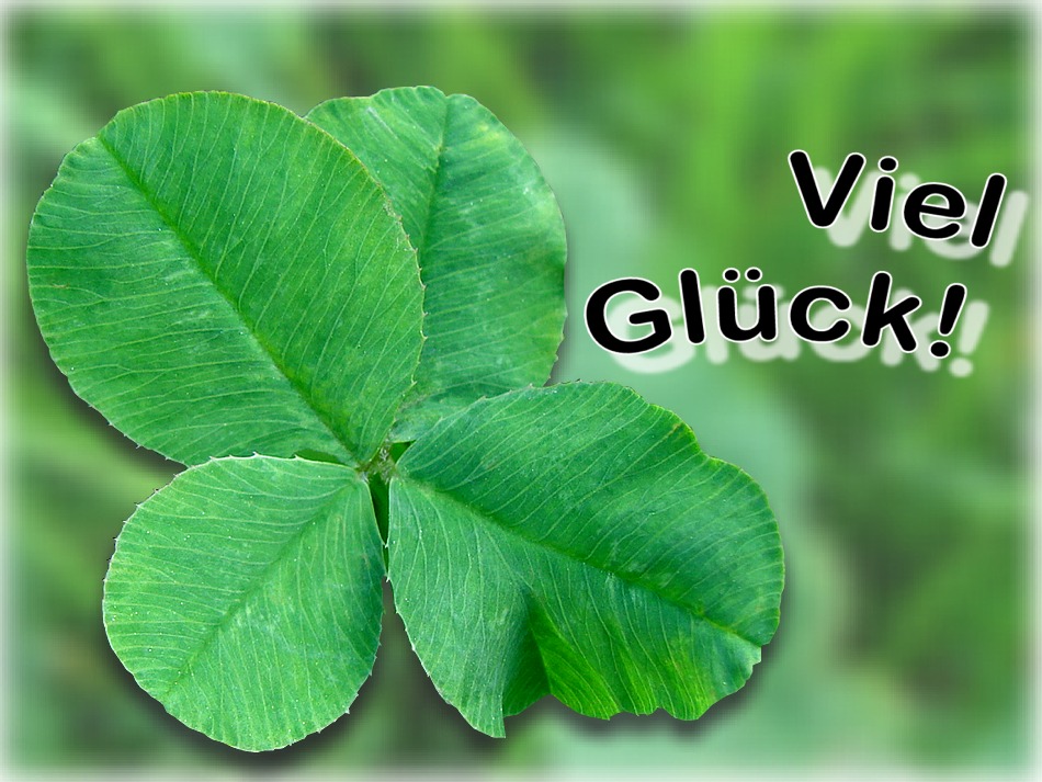 GlücksKleeblatt Foto & Bild geburtstage Bilder auf