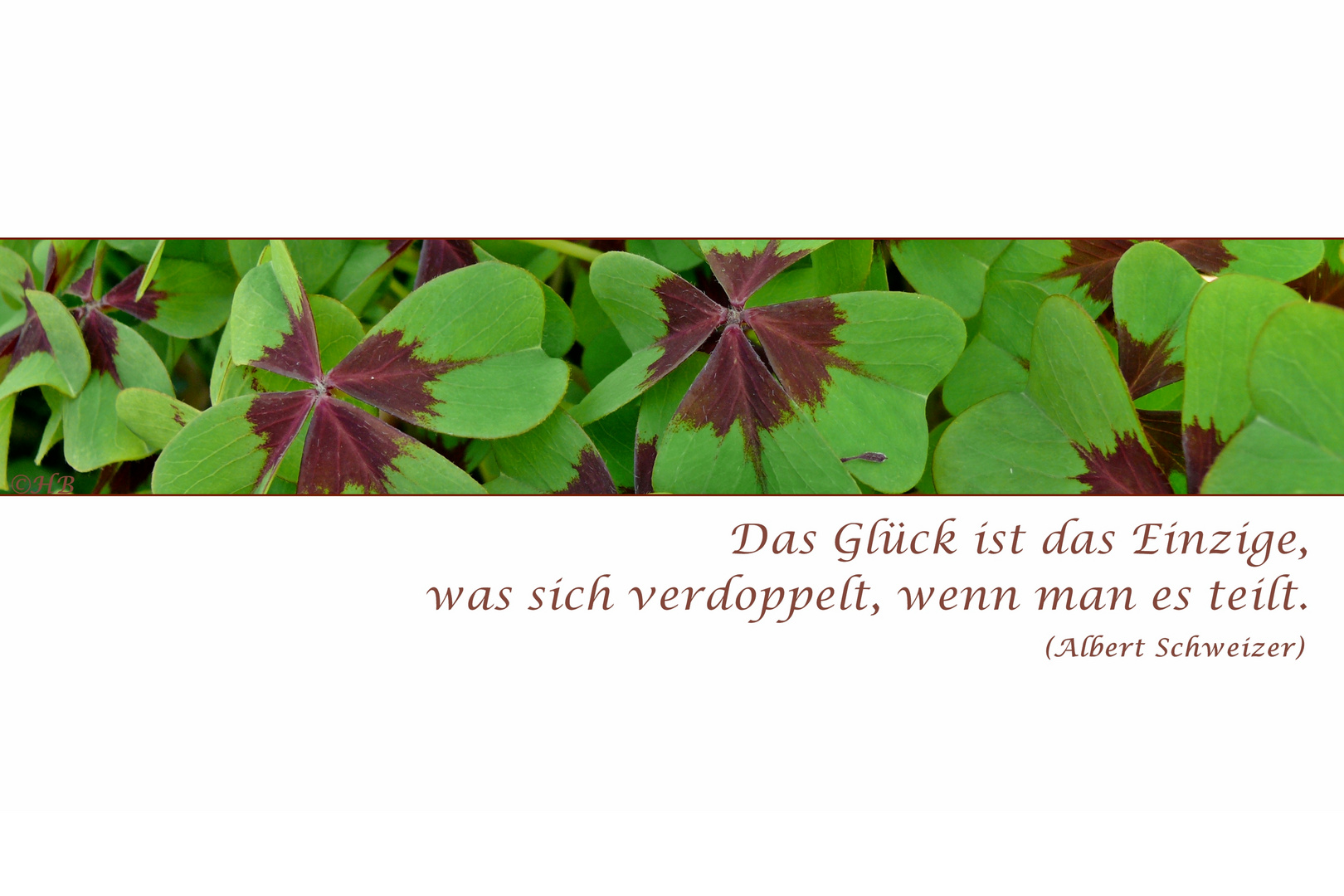 Glücks-Strip