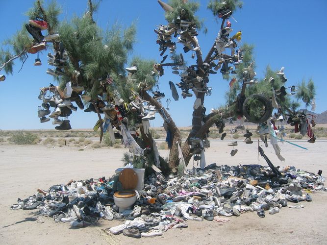 Glücksbaum der Indianer 2 Nevada