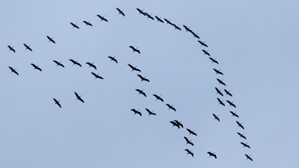 GLÜCKSBRINGER am hessischen Himmel