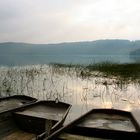 Glücksgefühle - oder eins sein mit der Natur