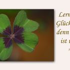 Get Sprueche mit gluecksklee For iPhone