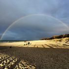 Glücksmoment in Zingst...