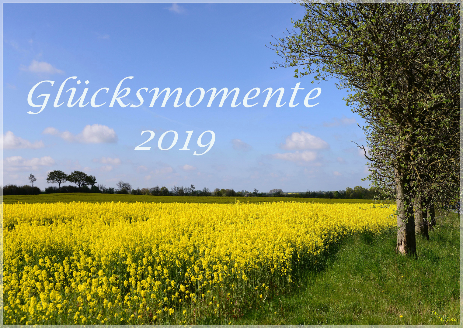 Glücksmomente 2019