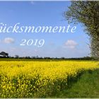 Glücksmomente 2019