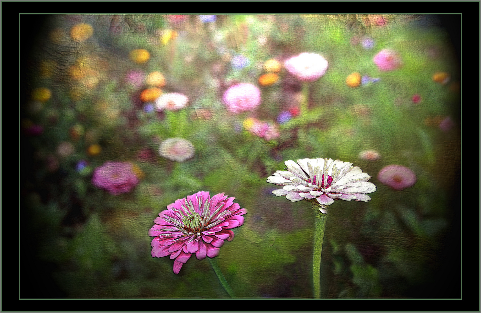  Glücksmomente im Garten  