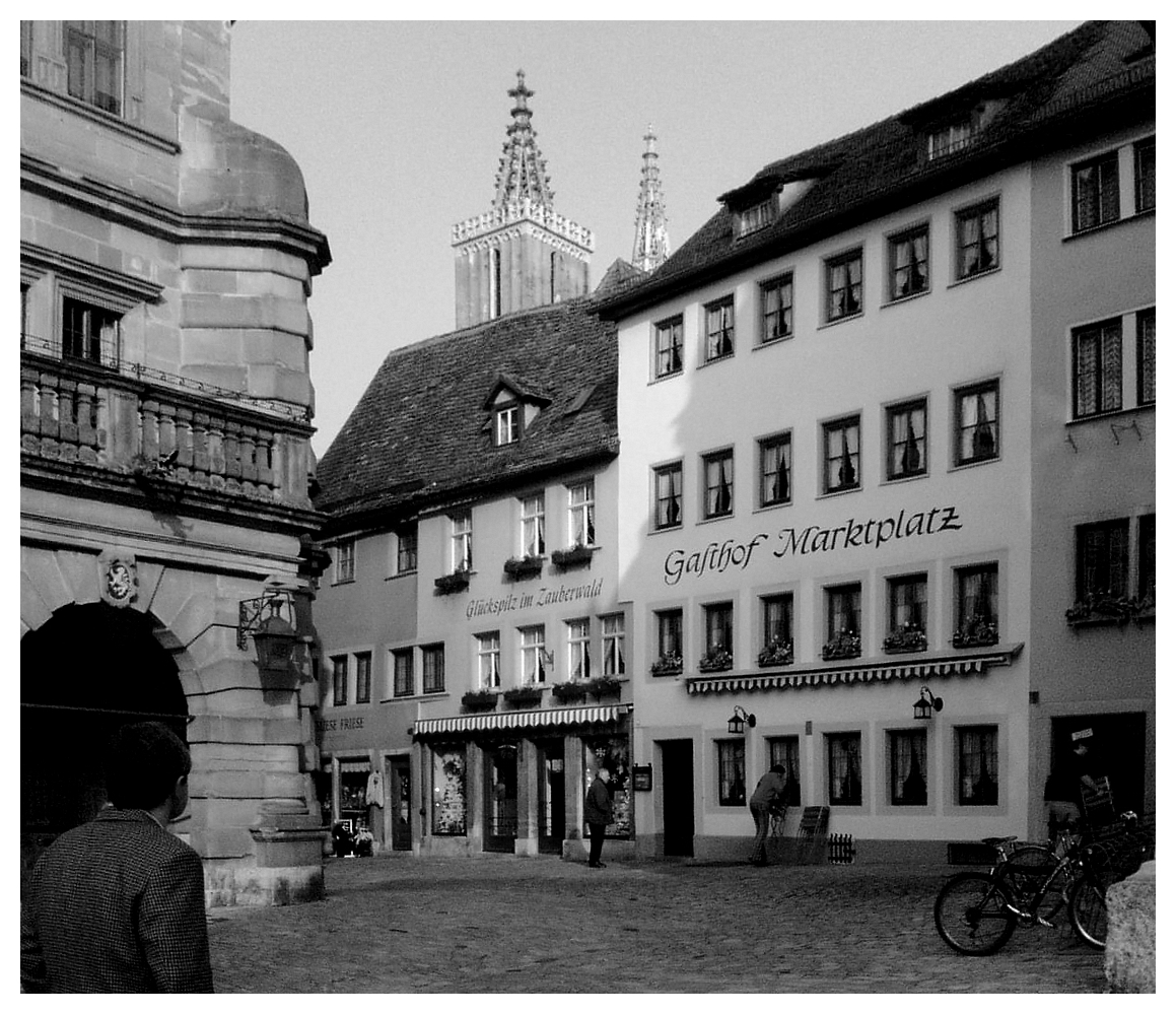 Glückspilz im Zauberwald