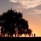 Glückstadt Am Elbdeich Abendstimmung