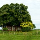 Glückstadt Am Kremper Rhin