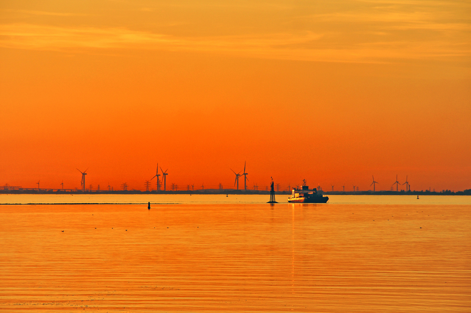 Glückstadt Elbe Fähre -Wischhafen Abendlicht