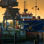 Glückstadt Harbor, sunset