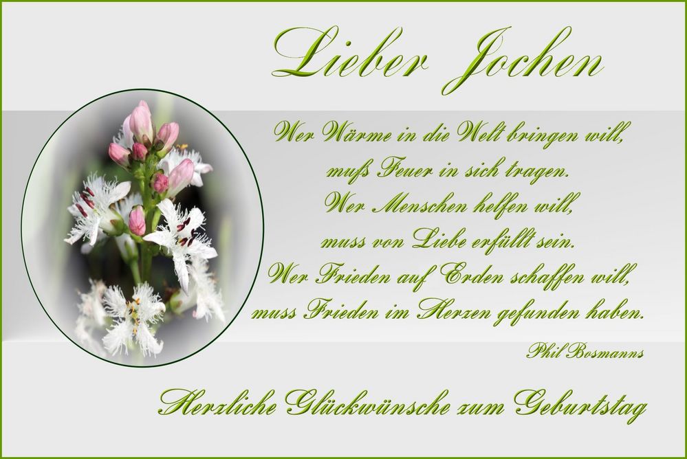 Geburtstags Gluckwunsche Fotos