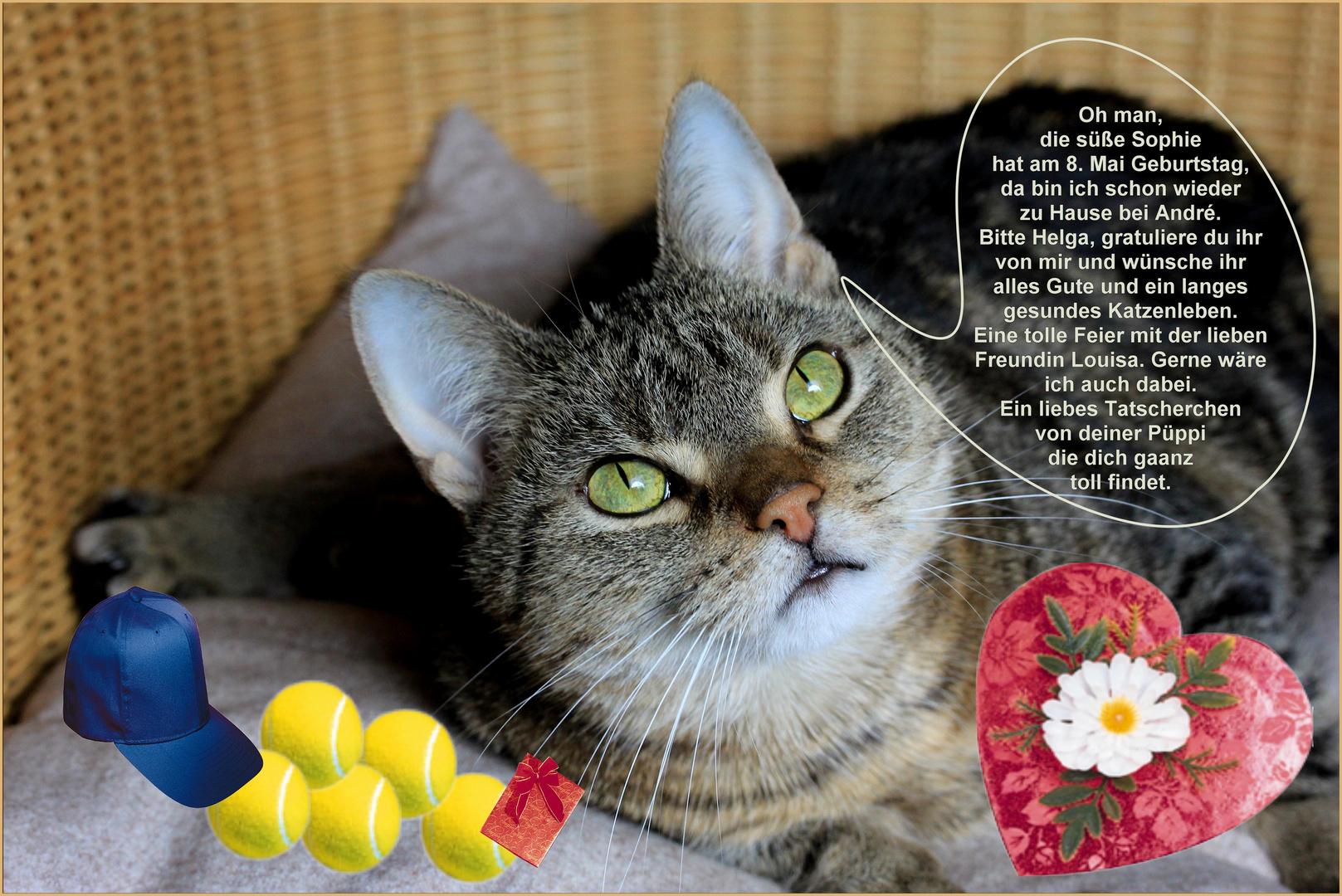 Glückwünsche für Sophie Foto & Bild tiere, haustiere, katzen Bilder