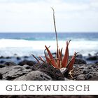 GlückWunsch