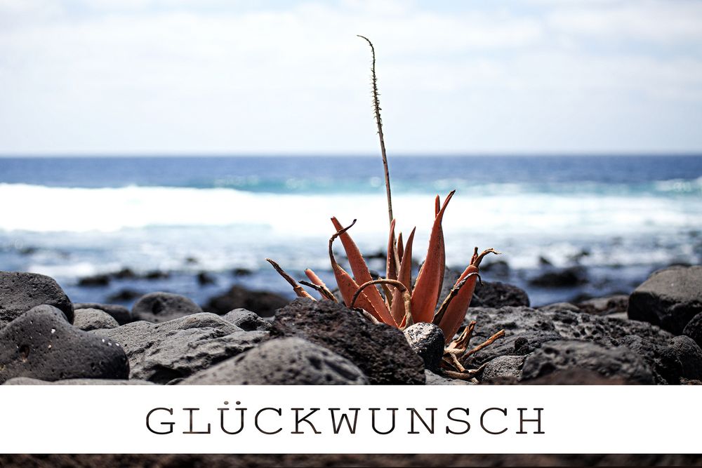 GlückWunsch