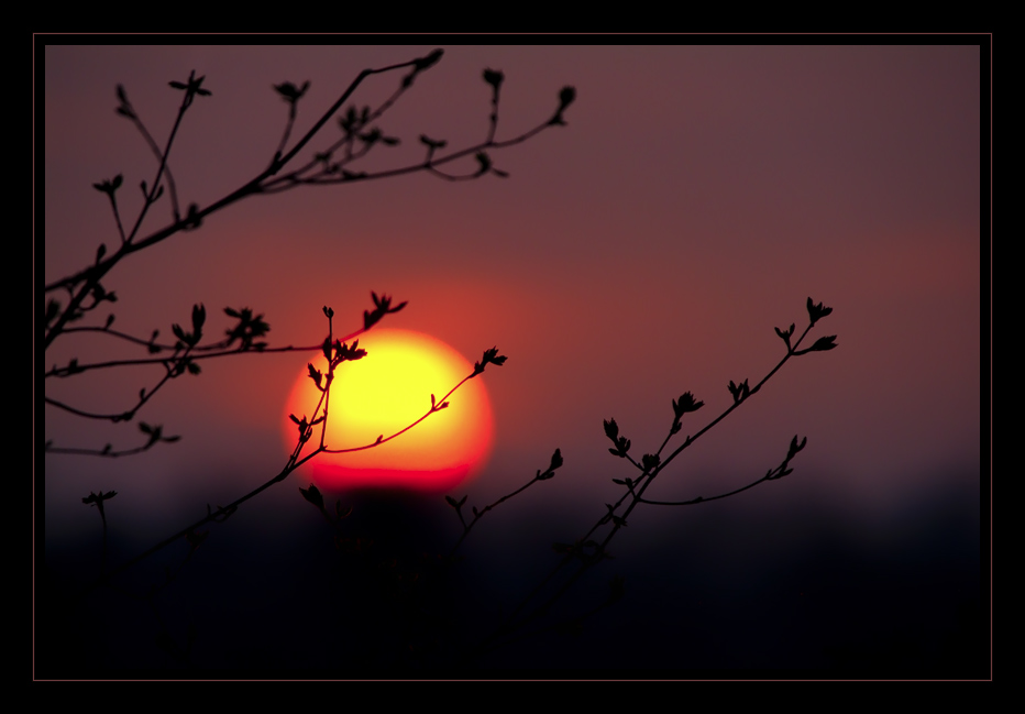 Glühende Sonne...