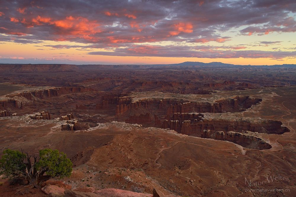 Glühender Abschied im Canyonlands National Park