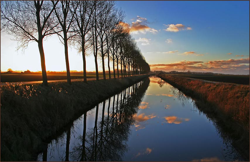 Glühendes Schilf am Kanal