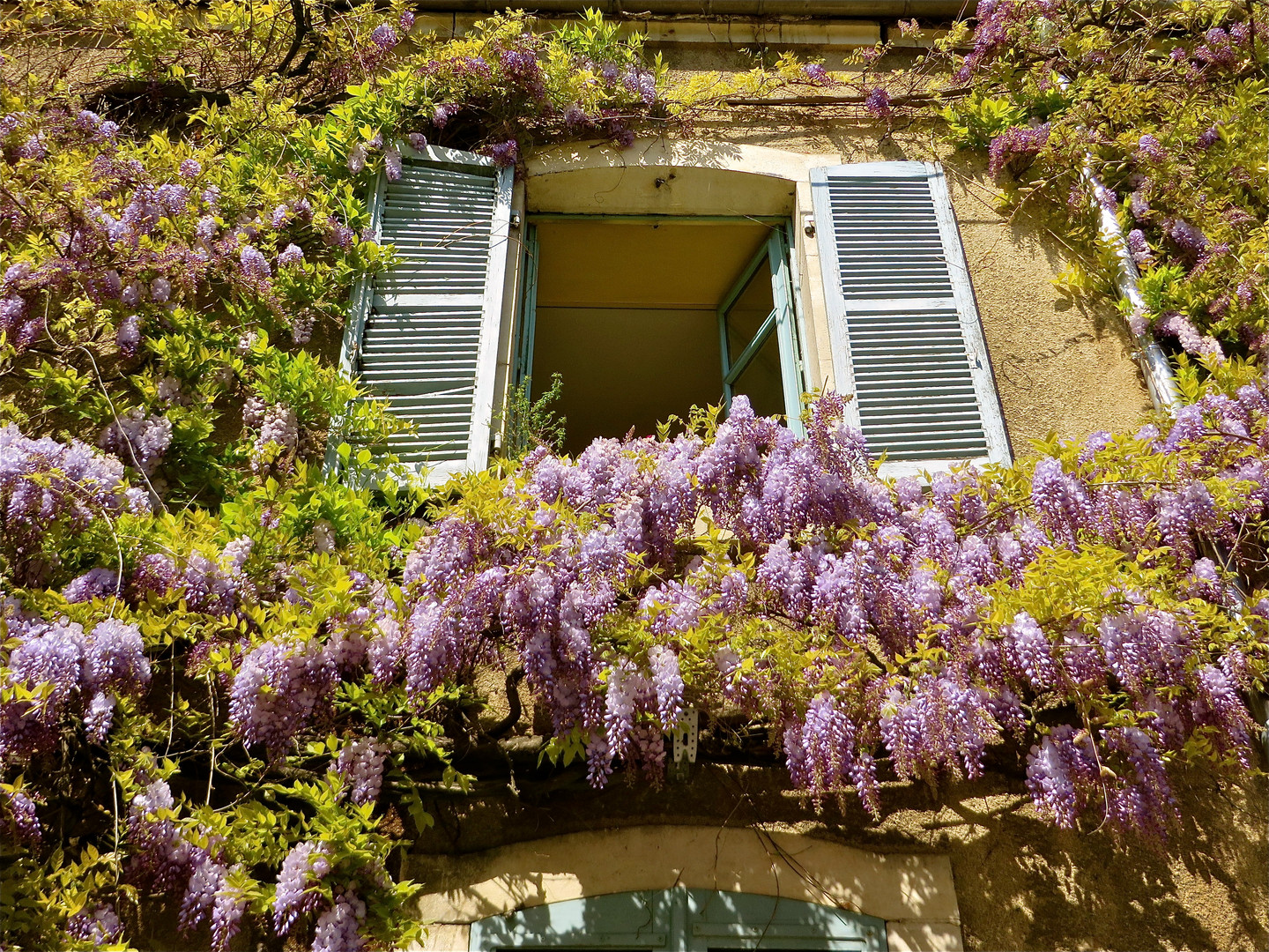 ... Glycine !!!...