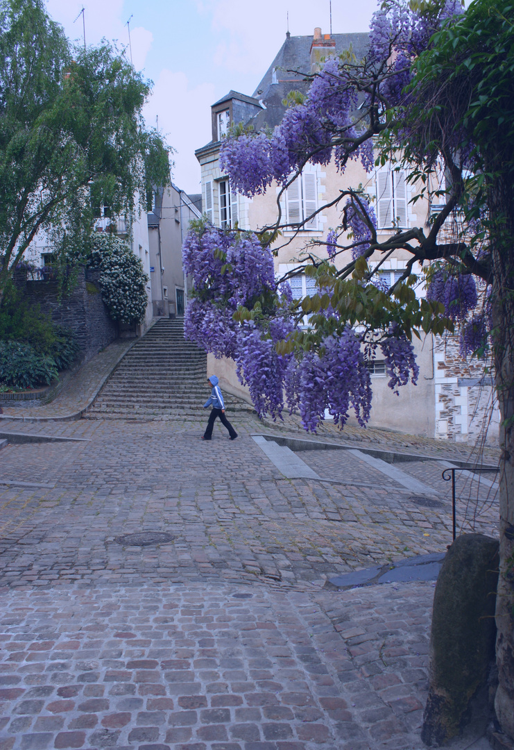 Glycine