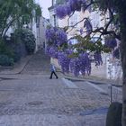 Glycine