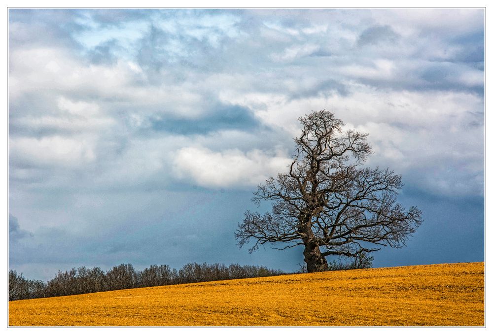 Glyphosphatlandschaft