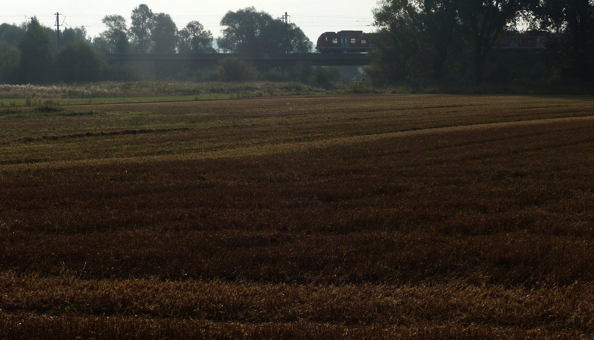 Gmaade Wiesn