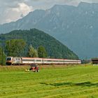 Gmahde Wiesn mit 1216 019-0