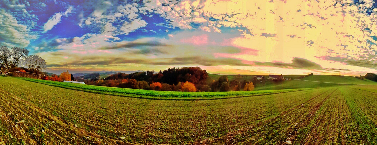 Gmeinholz - View - Südost - PANORAMA