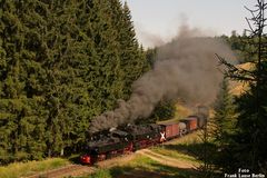 GmP zwischen Eisfelder Talmühle und Benneckenstein