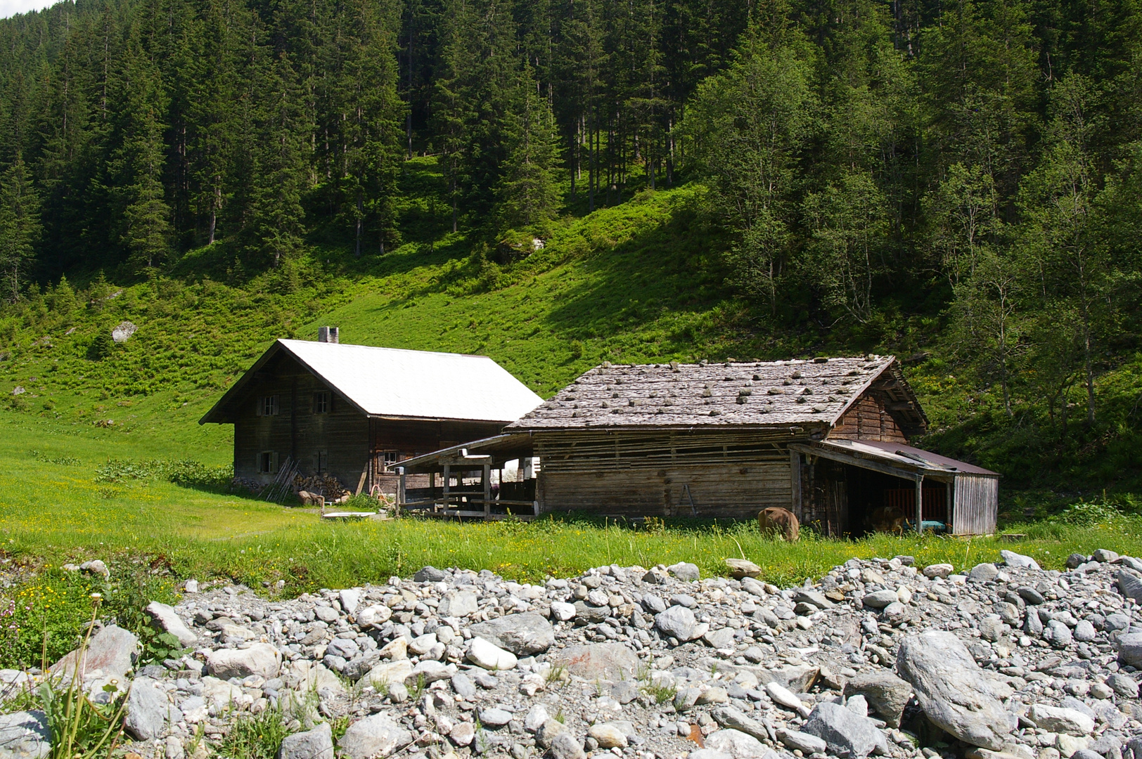 Gmünder Asten - Alte Sennhütte