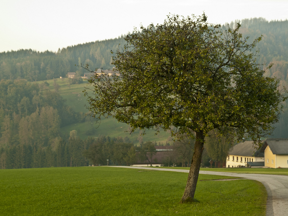 Gmunden Okt. 2009