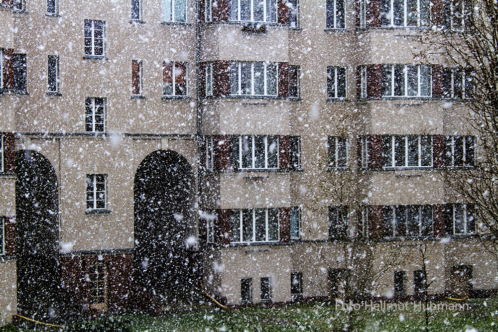 GNADENLOSE ERINNERUNG AN EINEN WINTER, DEN ES NICHT GAB