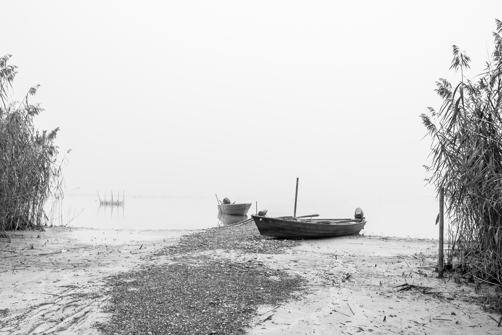 Gnadensee im Nebel