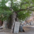 [ … Gndevank Monastery ]