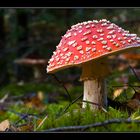 Gnome stool