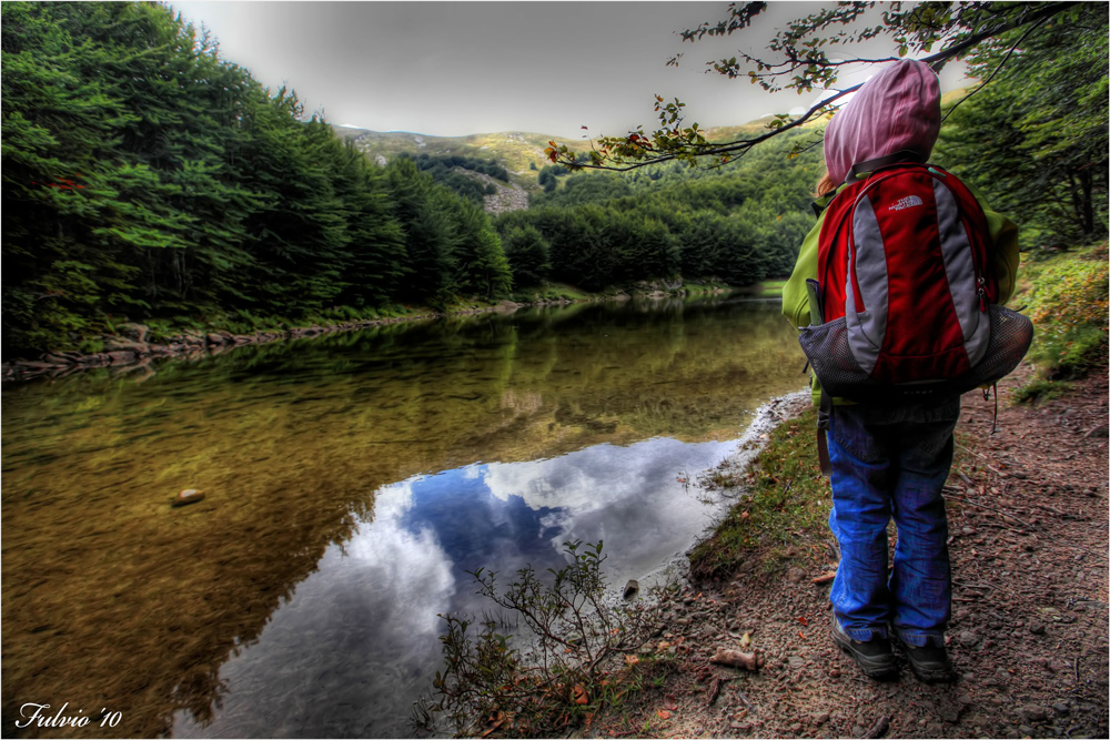 Gnometti del bosco...