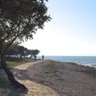 go for a walk along the beach