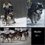 Go Musher go......