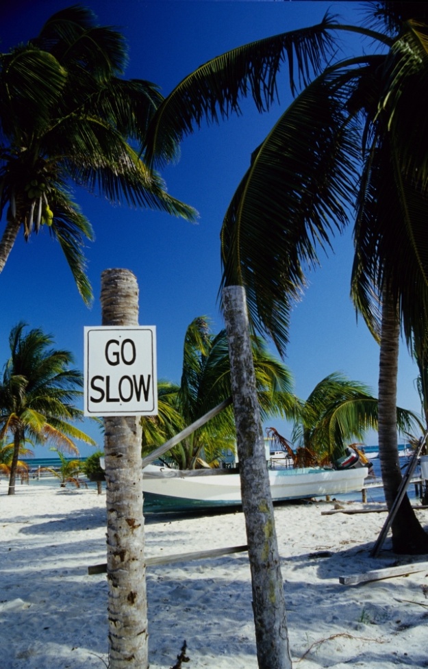 Go Slow