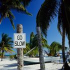 Go Slow