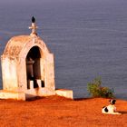 GOA early morning at Anjuna hill