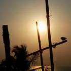 Goa - Sunset