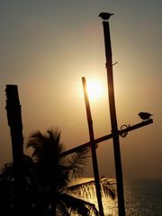 Goa - Sunset